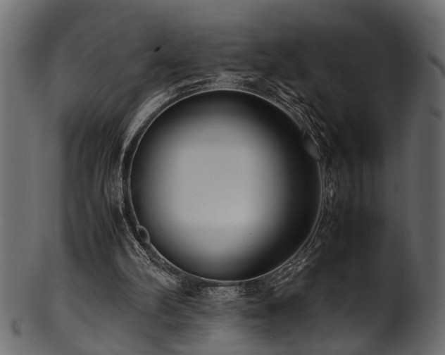 X0000102030102200807181359