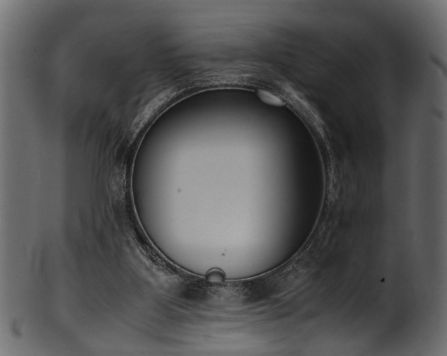 X0000102030107200807181359