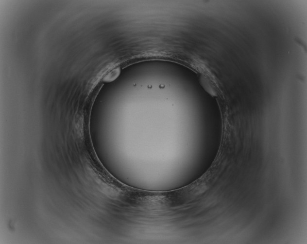 X0000102030108200807181359