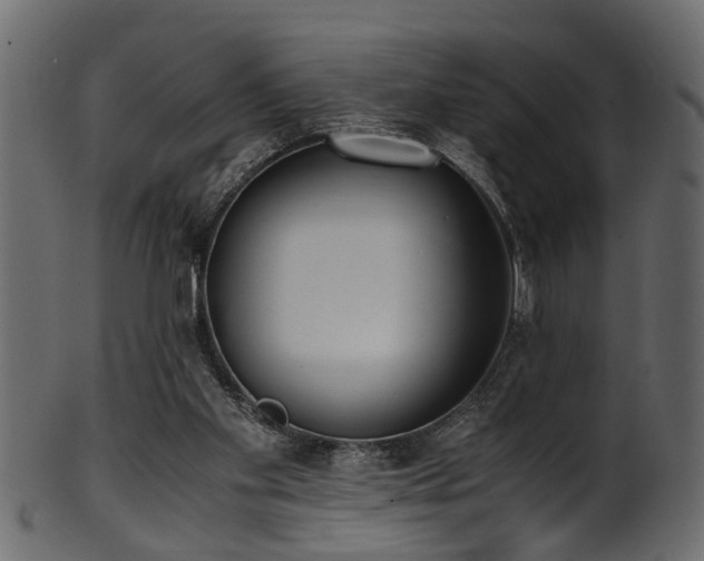 X0000102030109200807181359