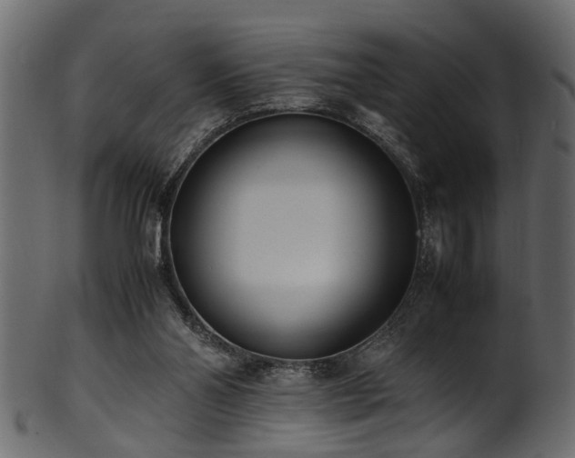 X0000102030110200807181359