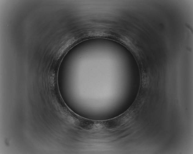 X0000102030111200807181359