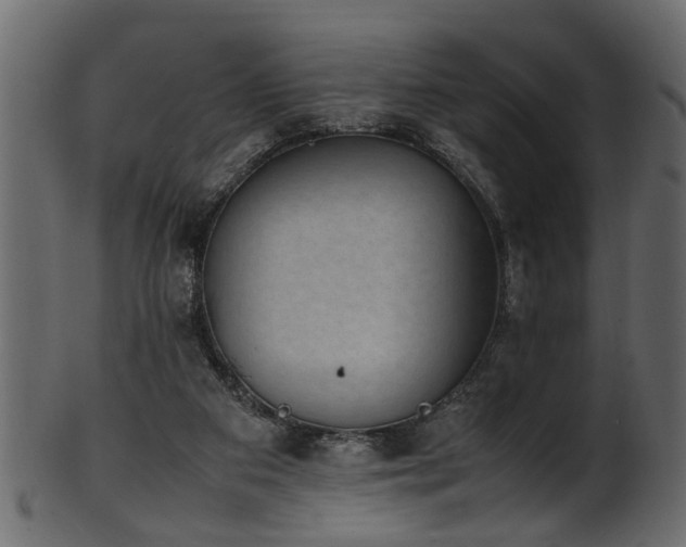 X0000102030113200807181359