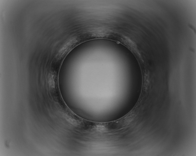 X0000102030114200807181359