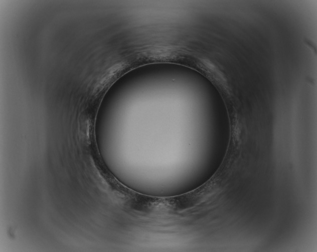 X0000102030115200807181359