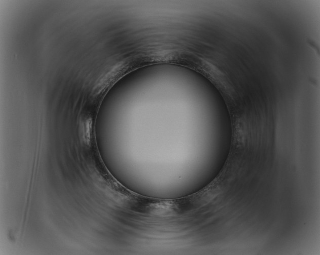 X0000102030118200807181359