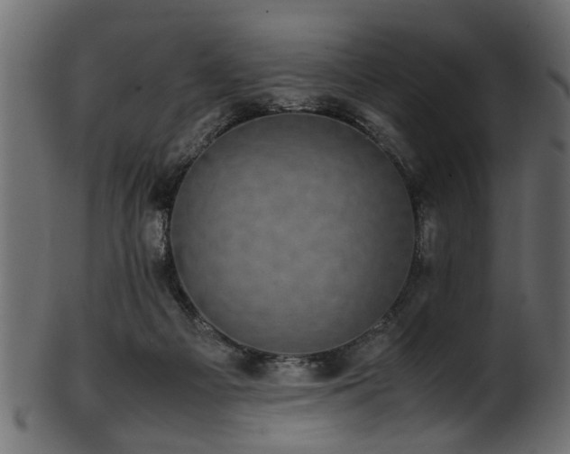 X0000102030121200807181359