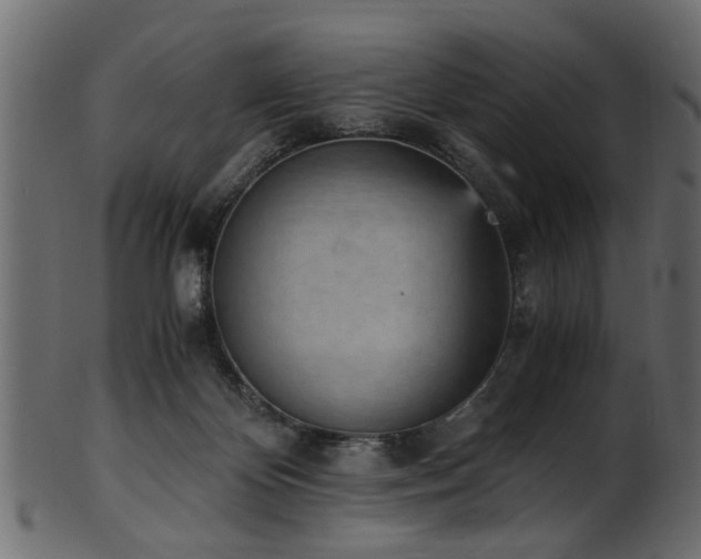 X0000102030124200807181359