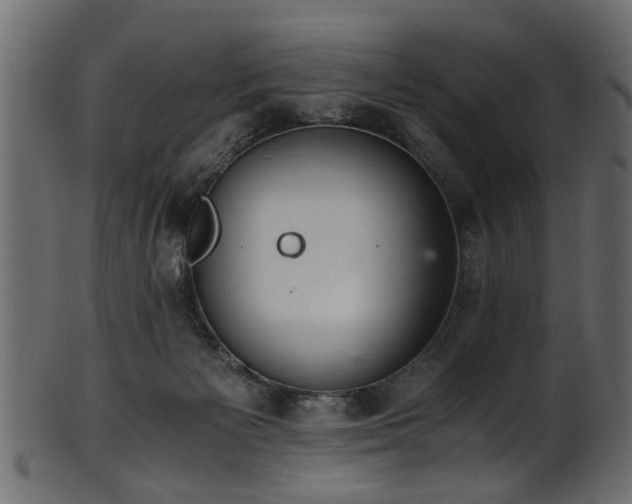 X0000102030125200807181359