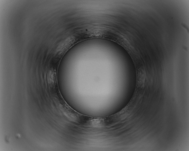 X0000102030126200807181359