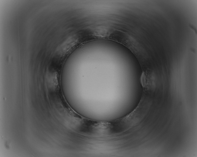 X0000102030128200807181359