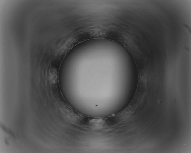 X0000102030133200807181359