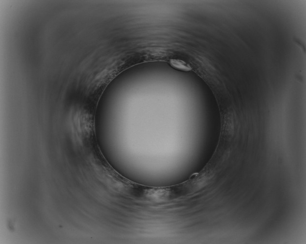 X0000102030135200807181359