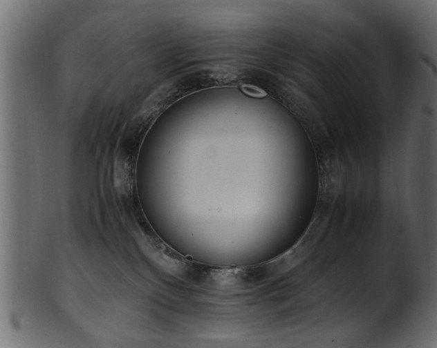 X0000102030136200807181359