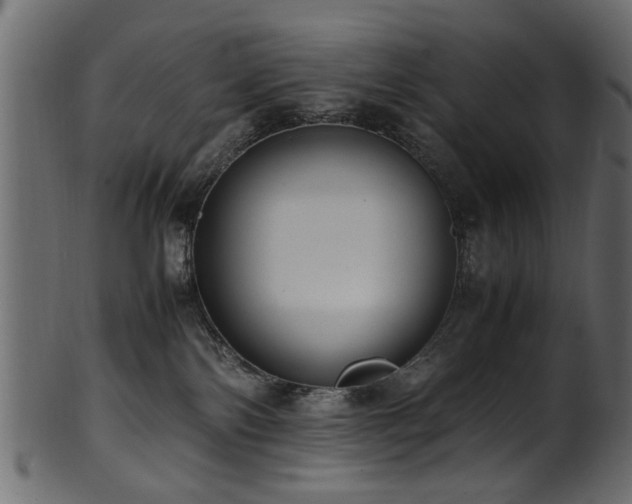 X0000102030138200807181359