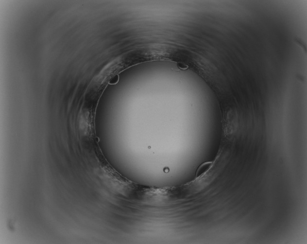 X0000102030140200807181359