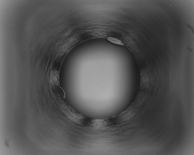 X0000102030141200807181359