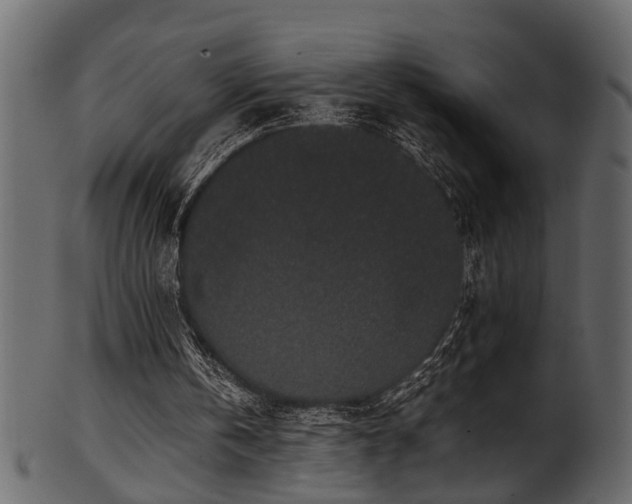 X0000102030146200807181358