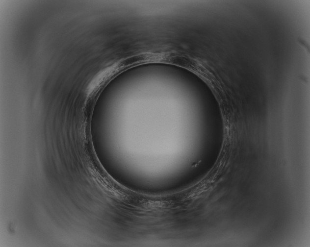 X0000102030149200807181358