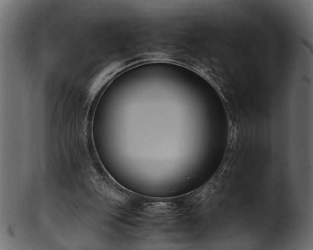 X0000102030151200807181358