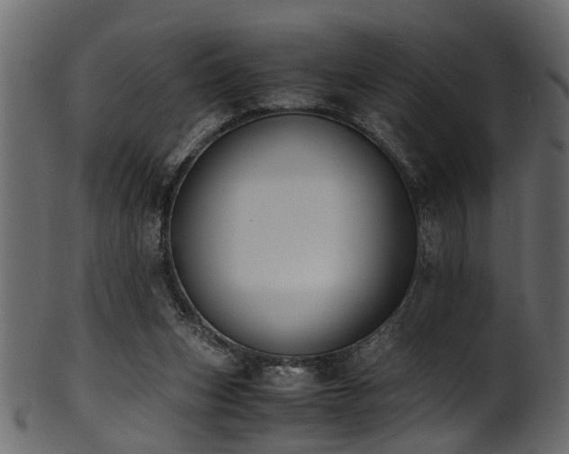 X0000102030159200807181358