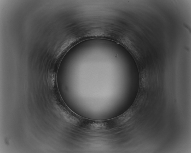 X0000102030160200807181358