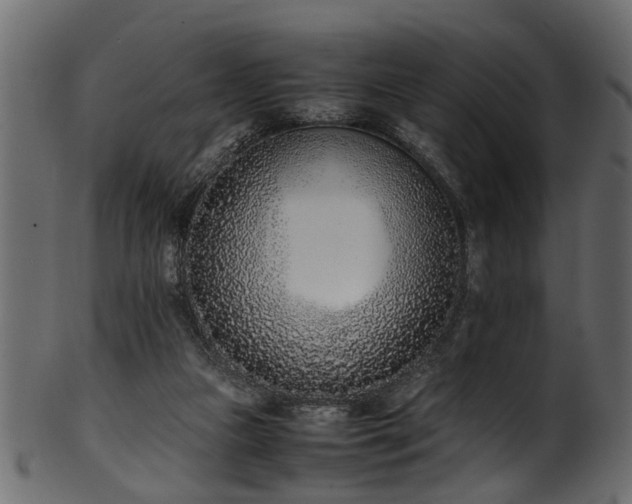 X0000102030161200807181358