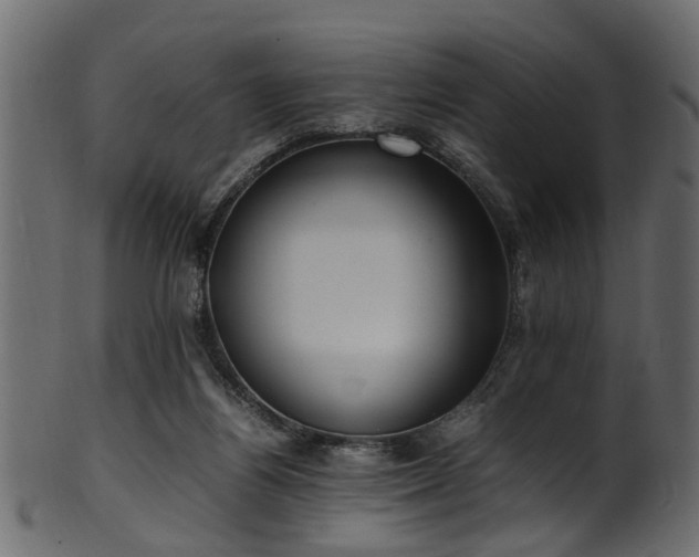 X0000102030164200807181358