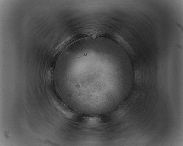 X0000102030165200807181358