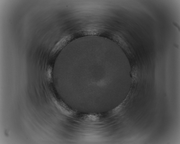 X0000102030166200807181358