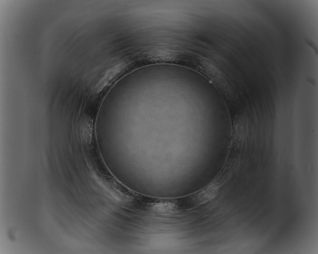 X0000102030168200807181358