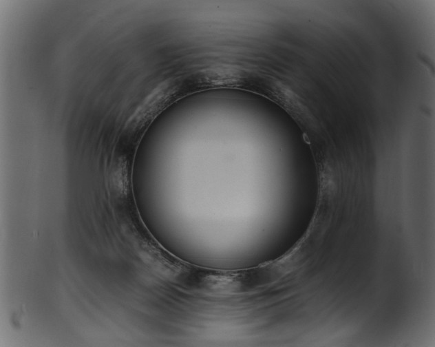 X0000102030170200807181358