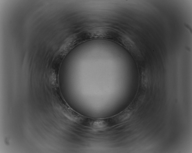 X0000102030173200807181358