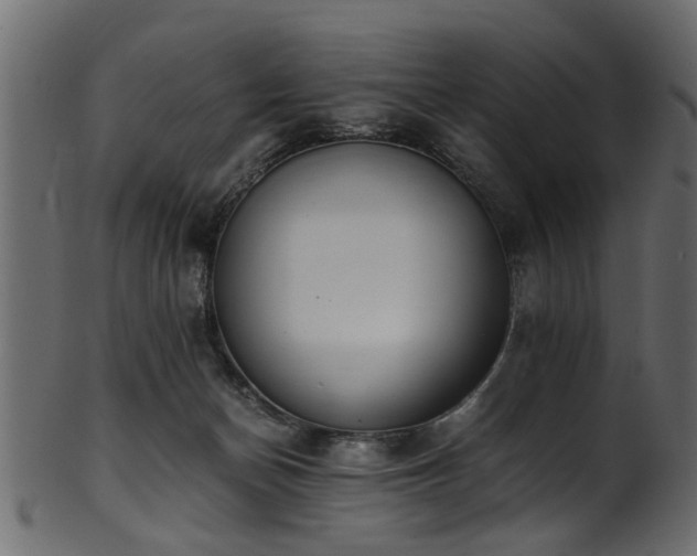 X0000102030174200807181358