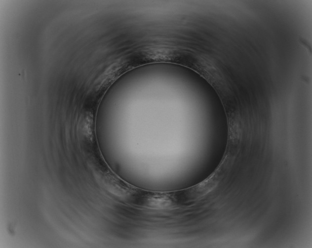 X0000102030175200807181358