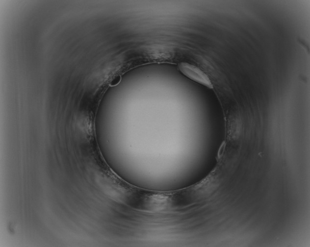 X0000102030176200807181358