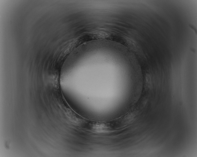 X0000102030177200807181358