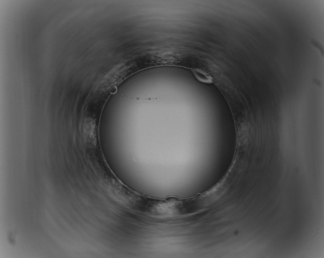 X0000102030178200807181358