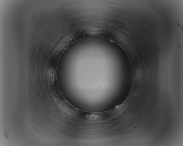 X0000102030180200807181358