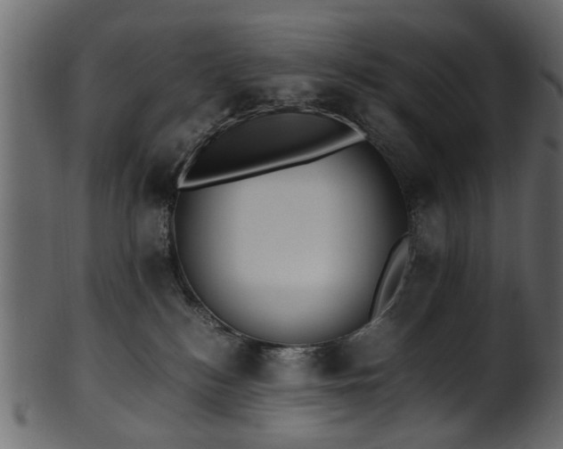 X0000102030184200807181358