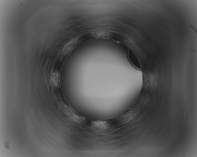 X0000102030189200807181358