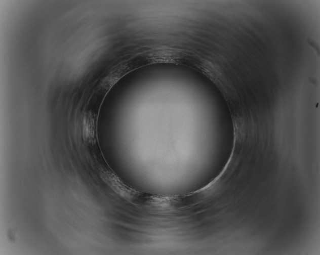 X0000102030190200807181358