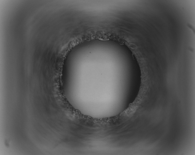 X0000102030192200807181358