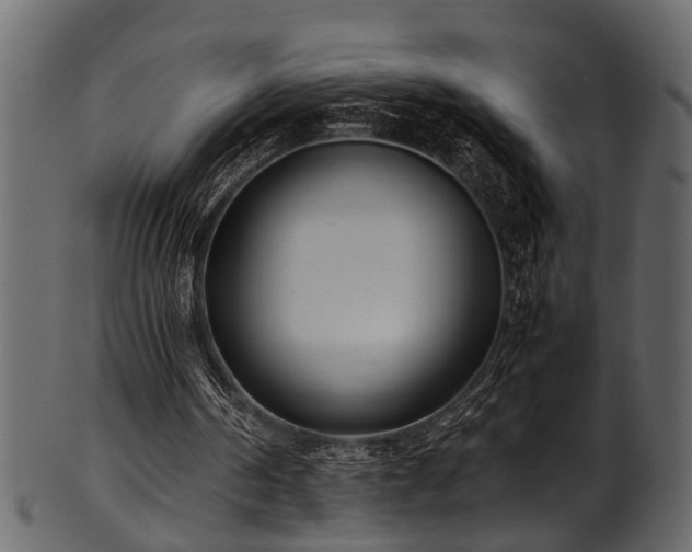 X0000102030194200807181358