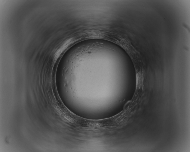 X0000102030195200807181358