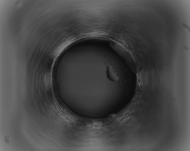 X0000102030196200807181358