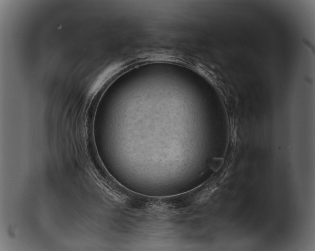 X0000102030199200807181358