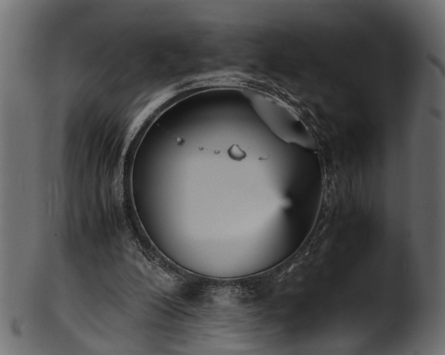 X0000102030200200807181358