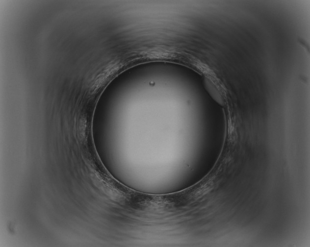 X0000102030201200807181358