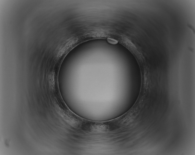 X0000102030202200807181358